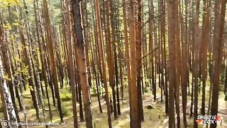 A brunette woman fucks hard with a guy in the woods