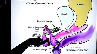 How to Squirt?! The ultimate tutorial by Mr. PussyLicking!