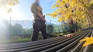 DICKFLASH in the PARK: a slutty MILF gives me a hard titty fuck