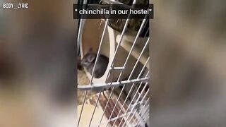 Sex in a capsule hostel and the journey to a big city begins