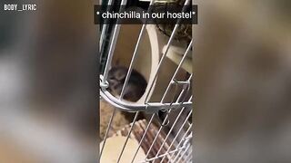 Sex in a capsule hostel and the journey to a big city begins