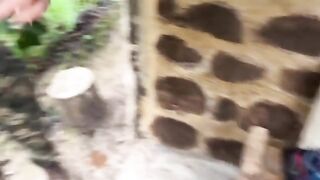 A couple getting caught fucking in the jungle
