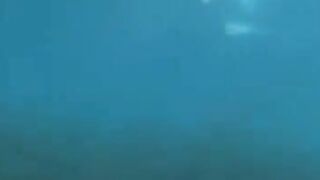 Fucking divers at the bottom of the sea