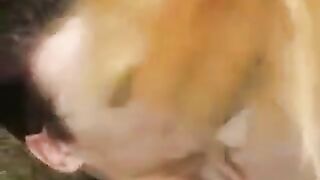 The young slut was publicly fucked in the park, right out in the open