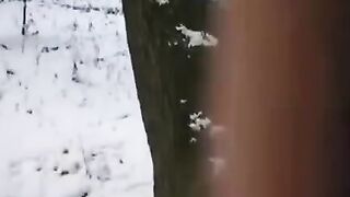 The guy wants to freeze dick and pussy with girl