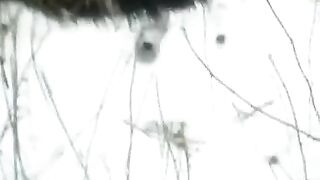 Winter street blowjob with a girl in stockings, getting fucked hard