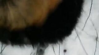 Winter street blowjob with a girl in stockings, getting fucked hard