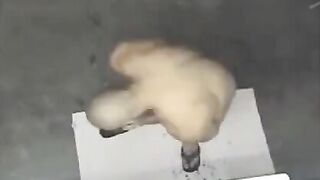A naked man has been spied on in the shower, showcasing intense moments