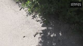 A cute teen gets fucked in her new home