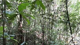 Fresh air and her warm lips on my cock - an unforgettable outdoor thrill