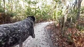 A guy finished up with a passionate chick in the jungle