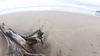 The beach is always humid — from the sea and because of the couple's passion
